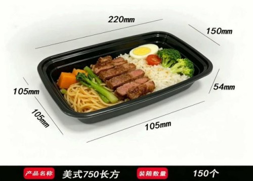 American-style rectangular PP meal box with insert tray